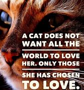Image result for Free Cat Sayings