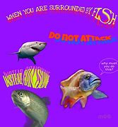 Image result for Funny Fishing Memes