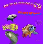 Image result for Fish-Oil Meme