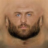 Image result for The Big Show WWE Face Texture