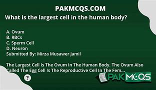 Image result for Biggest Cell in the World
