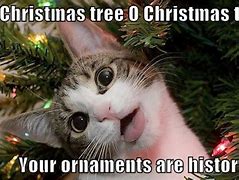 Image result for Christmas Memes 2019