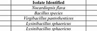 Image result for Sheets for MTCC