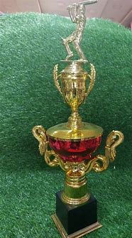 Image result for The Hundred Cricket Trophy