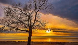 Image result for Trees and Lakes in Muskegon MI
