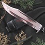 Image result for Stag Handle Bowie Knife