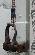 Image result for Shackle Swivel Crosby