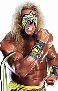 Image result for WWE Wrestling Sports Photography