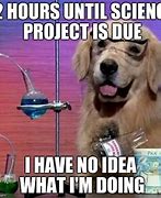 Image result for Science Dog Meme