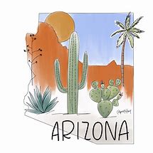 Image result for Arizona Cactus Illustration