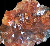 Image result for grosularia
