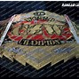 Image result for Czw Championship
