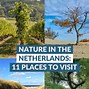 Image result for Netherlands Places to See
