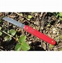 Image result for Victorinox Floral Knife