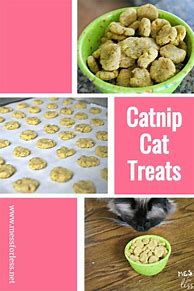 Image result for Catnip Cat Treats