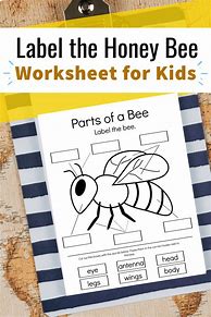 Image result for Bee Worksheet