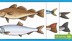Image result for Cartoon Fish Cut Out