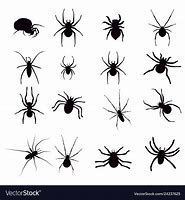 Image result for Spider Silhouette JPEG Vector