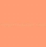 Image result for Pantone 163 C