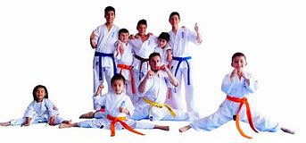 Image result for Kyokushin Karate Kata