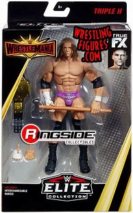 Image result for WWE Triple H Action Figure