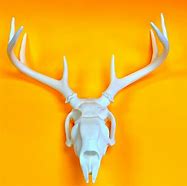 Image result for Replica Deer Skull