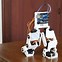 Image result for Arduino Walking Robot