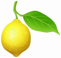 Image result for Lemon