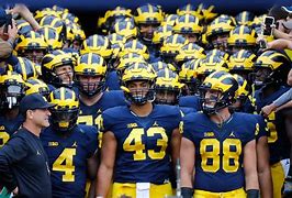 Image result for Michigan College Football Teams