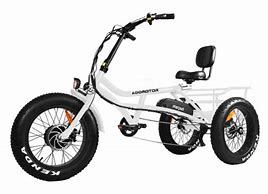 Image result for Electric Trike Motorcycle