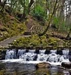 Image result for Stepping Stones Park