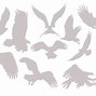Image result for Flying Eagle Silhouette Vector