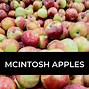 Image result for McIntosh Apples Images Not Ai