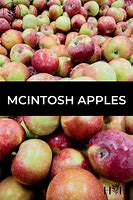 Image result for McIntosh Apple