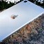 Image result for iPhone SE 1 iOS 9