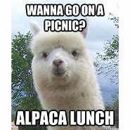 Image result for Alpaca vs iPhone Meme