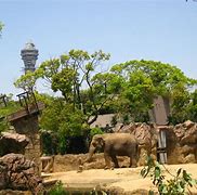 Image result for Tennoji Zoo
