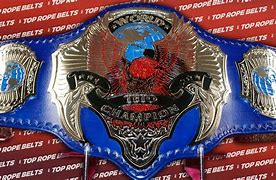 Image result for Dress as a Wrestling Belt