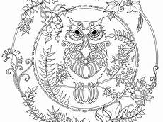 ausmalbilder eulen drucken ausmalbilder ausdrucken erwachsene ausmalbilder ausmalbilder eulen drucken ausmalbilder ausdrucken erwachsene ausmalbilder