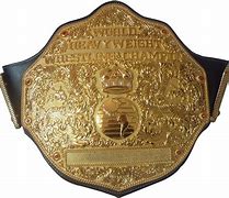 Image result for Big Gold Wrestling Belt