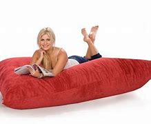 Image result for Crash Pillow Costco