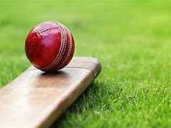Image result for Cricket Bat Ball Images