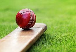 Image result for Cricket Bat MRF HD Images