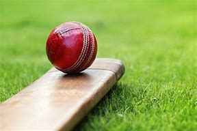 Image result for Cricket Bat Hitting Ball