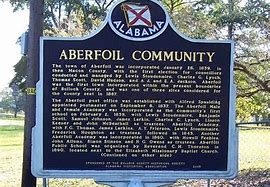 Image result for abersale