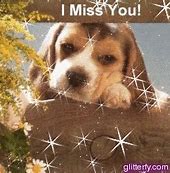 Image result for Sad Puppy Miss You Meme