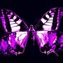 Image result for Purple Butterfly Desktop Wallpaper