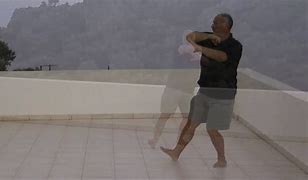 Image result for Wu Style Tai Chi Short Form DVD