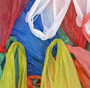 Image result for Plastic Bag