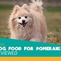 Image result for Pomeranians Bred For